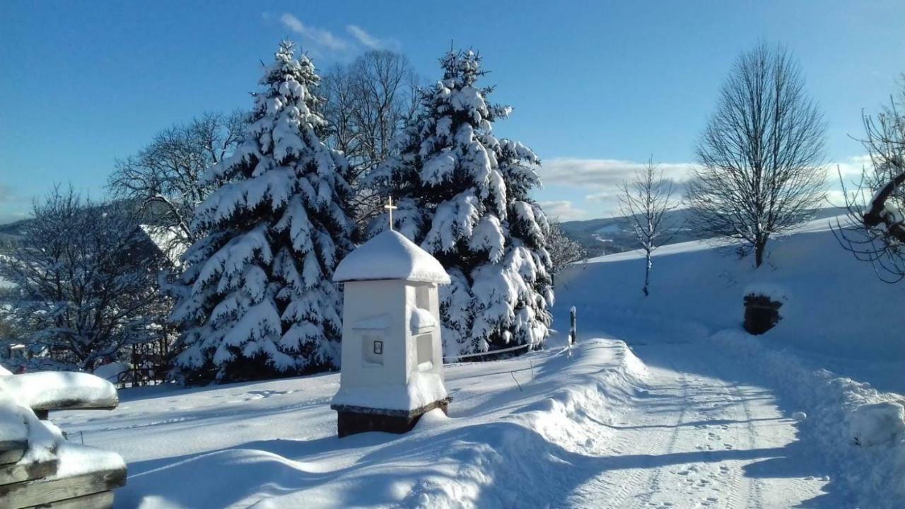 Stylova Chalupa Na Kraji Narodniho Parku Sumava Strunkov Buitenkant foto