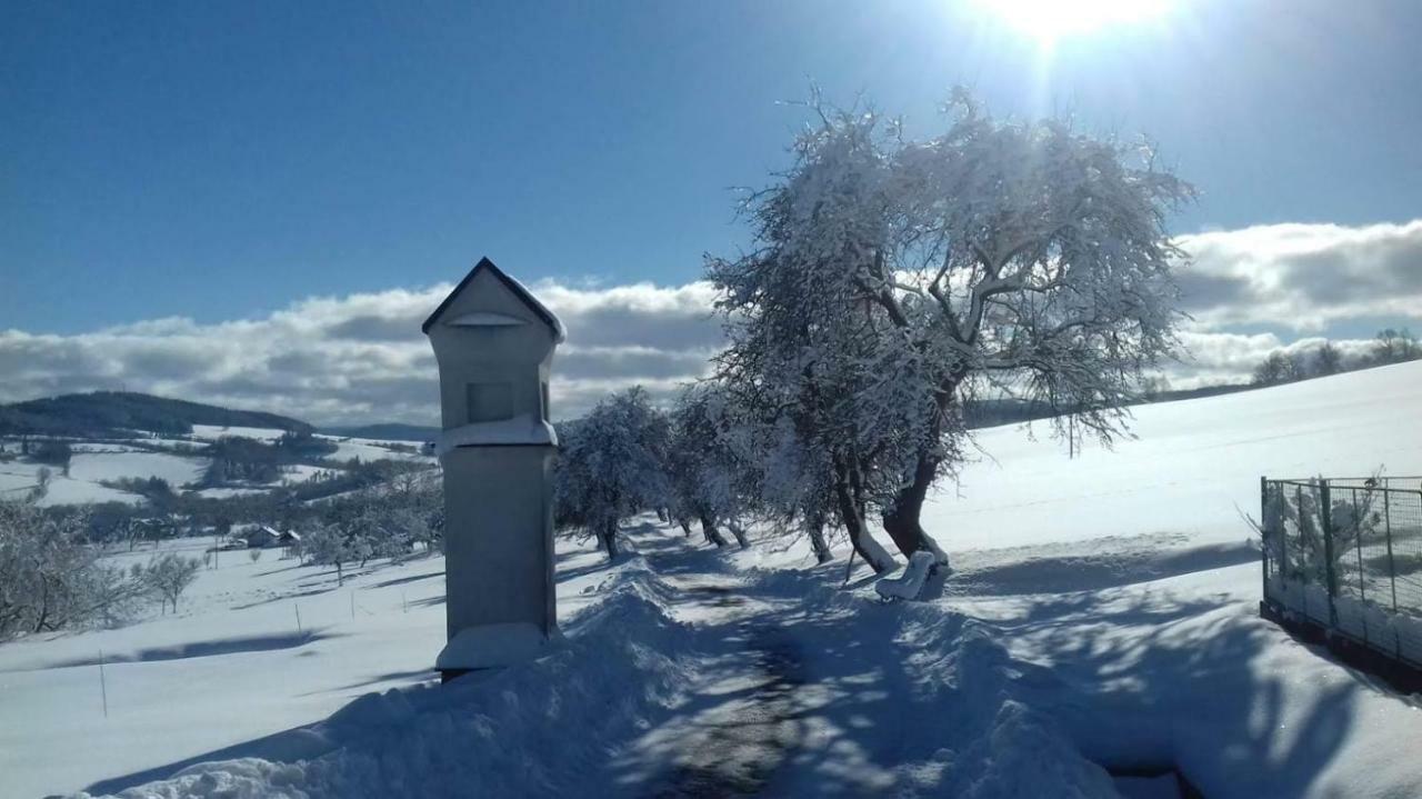 Stylova Chalupa Na Kraji Narodniho Parku Sumava Strunkov Buitenkant foto